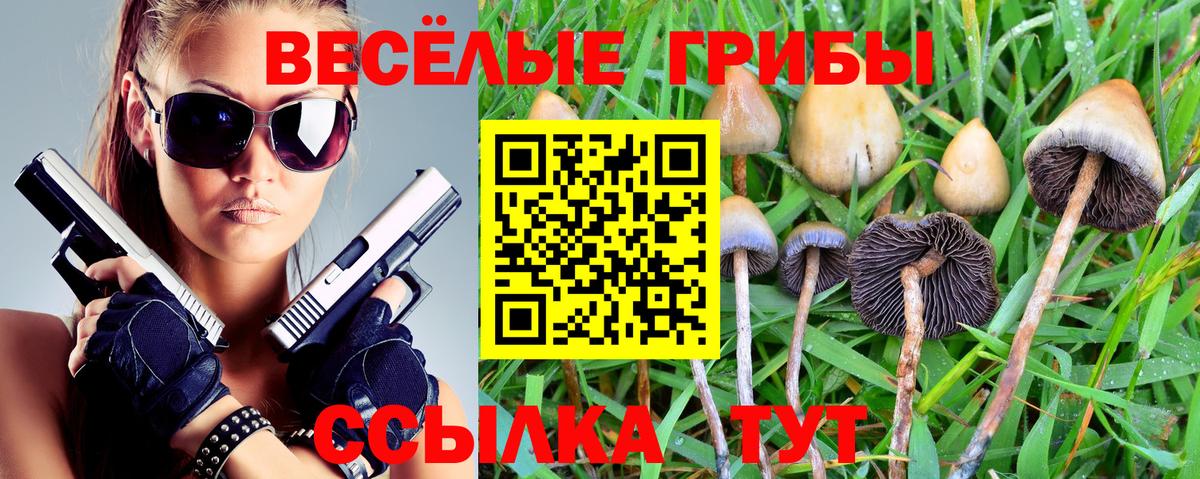 Баксан  Псилоцибиновые грибы мухоморы  Вход с VPN 