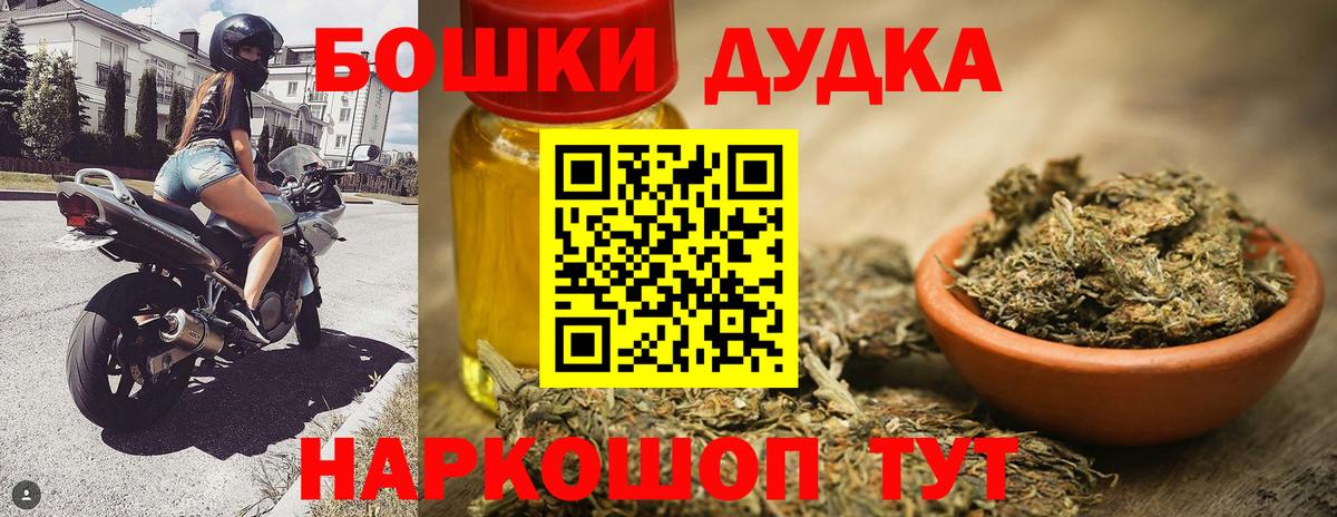 Каннабис индика Баксан
